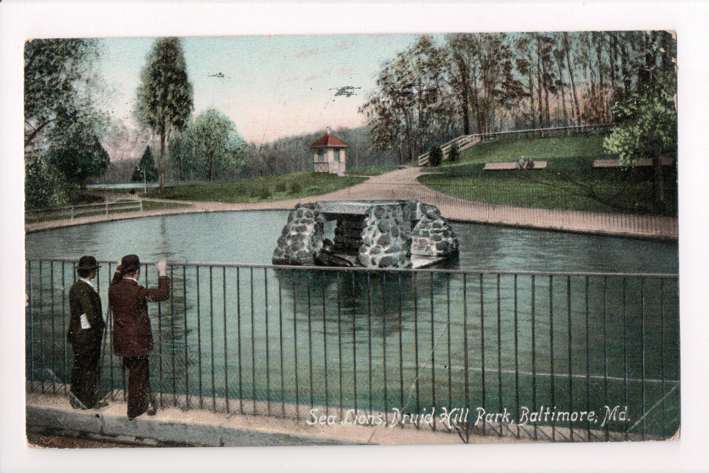 MD, Baltimore - Druid Hill Park Sea Lions postcard - CP0288