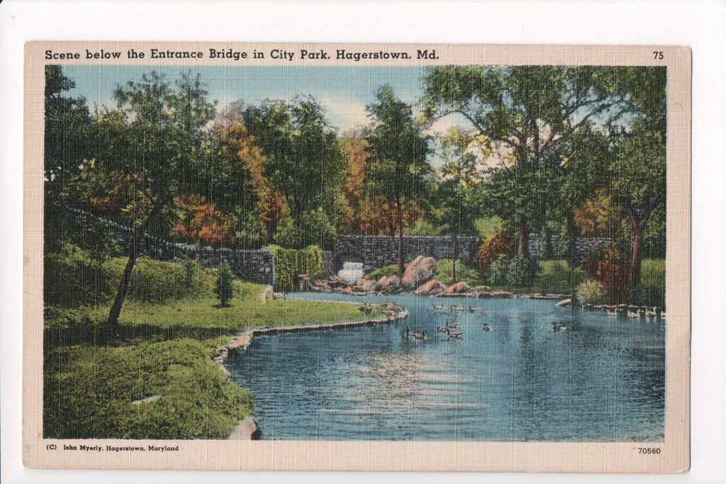 MD, HAGERSTOWN- City Park postcard - C08612