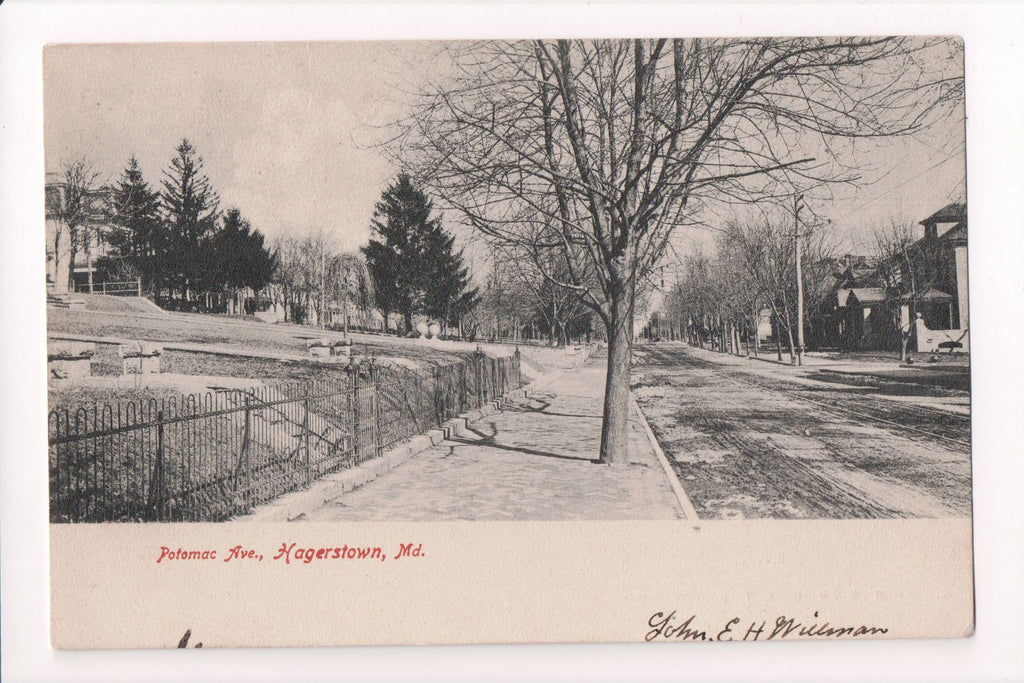 MD, HAGERSTOWN - Potomac Avenue postcard - C08616