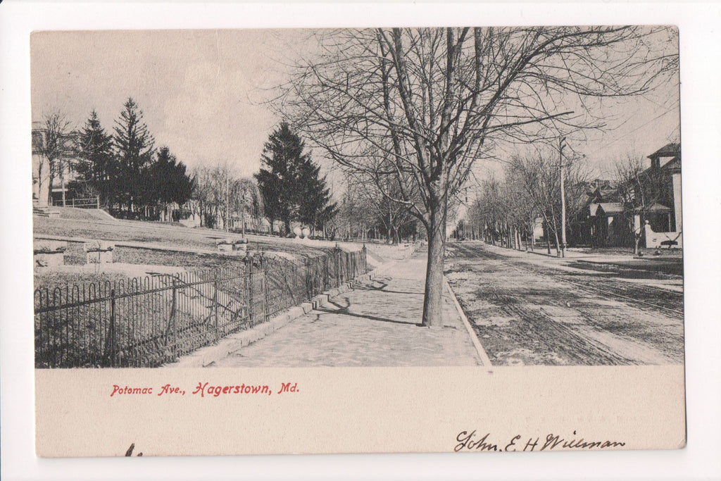 MD, Hagerstown - Potomac Avenue postcard - C08616
