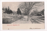 MD, HAGERSTOWN - Potomac Avenue postcard - C08616