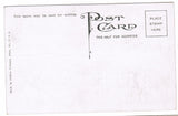 MI, Detroit - Hotel Tuller, Roof Garden Cafe postcard - G03150