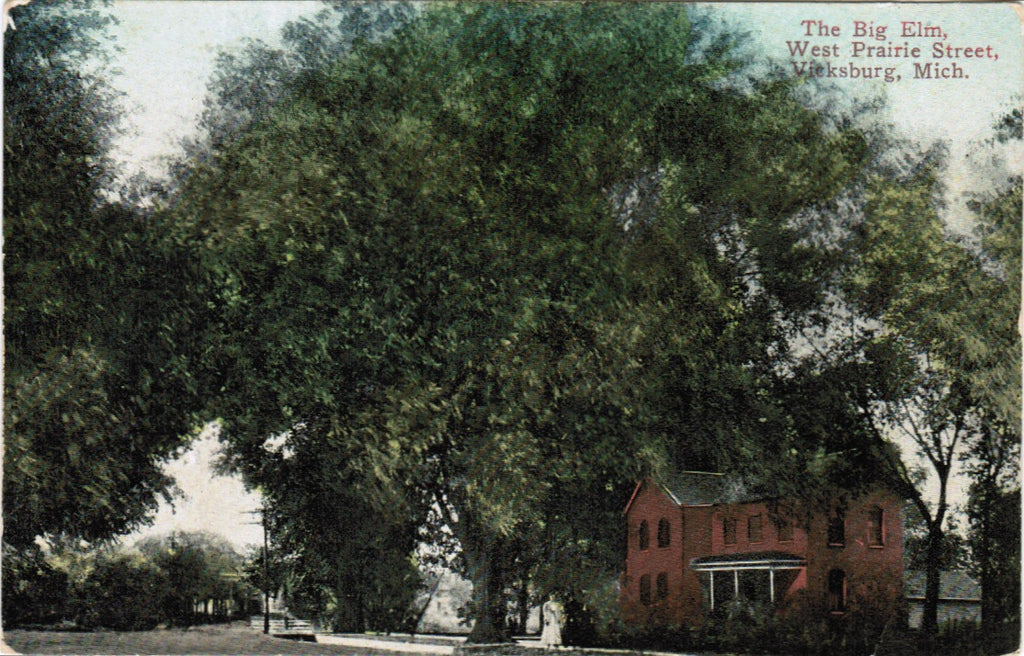 MI, Vicksburg - West Prairie Street and Big Elm postcard - C08176
