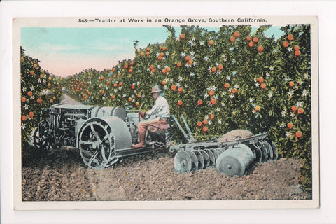 Black Americana - tractor, harrowing around orange grove - CP0395