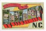 NC, Montreat - Greetings from, Large Letter - B17091
