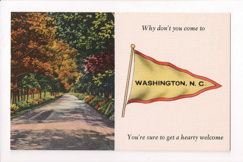 NC, Washington - banner or flag postcard - w03464