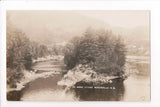 NH, WOODSVILLE - No Mans Island, closeup - RPPC - B04195