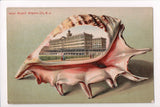 NJ, Atlantic City - Hotel Rudolf - Large Seashell postcard - B17056
