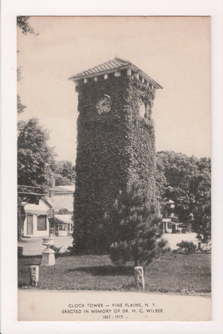NY, PINE PLAINS - Clock Tower in memory of Dr H C Wilber (original SOLD) NL0306