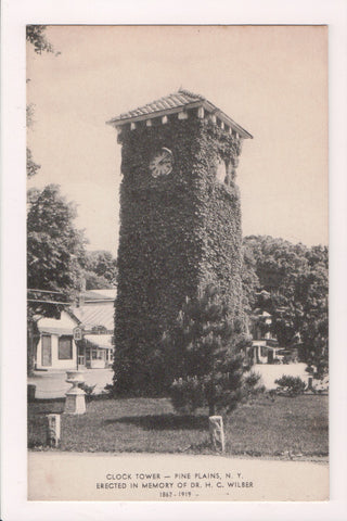 NY, Pine Plains - Clock Tower in memory of Dr H C Wilber - NL0306