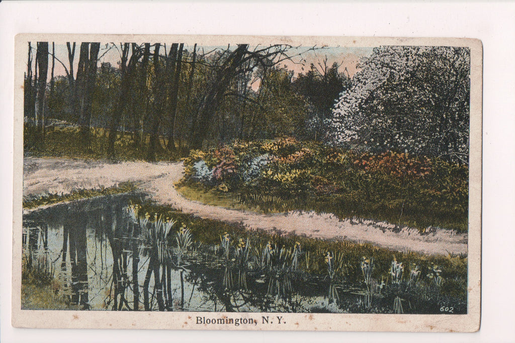 NY, BLOOMINGTON - 1920 scene (original SOLD) NL0327