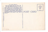 NM, NEW MEXICO - Greetings from, Large Letter postcard - MT0010