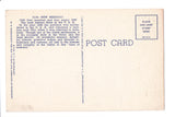 NM, New Mexico - Greetings from, Large Letter postcard - MT0010