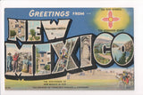 NM, NEW MEXICO - Greetings from, Large Letter postcard - MT0010