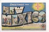 NM, New Mexico - Greetings from, Large Letter postcard - MT0010