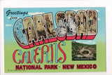 NM, Carlsbad Caverns - Greetings from, Large Letter postcard - B08262