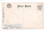 NY, BELFAST Main Street, Mann and Lindsay store?, W W Dart postcard - C06096