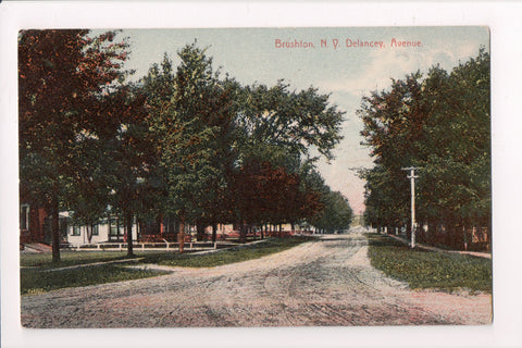 NY, Brushton - Delancey Avenue - DOANE Brushton @1911 postcard - R00178