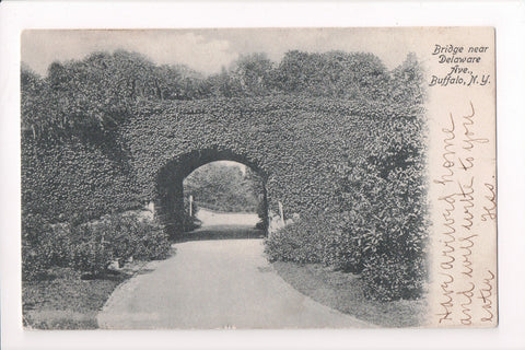 NY, Buffalo - Bridge near Delaware Ave, Vine Covered - A17018