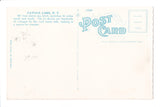 NY,  CATSKILL MOUNTAIN - Cottages postcard - D17200