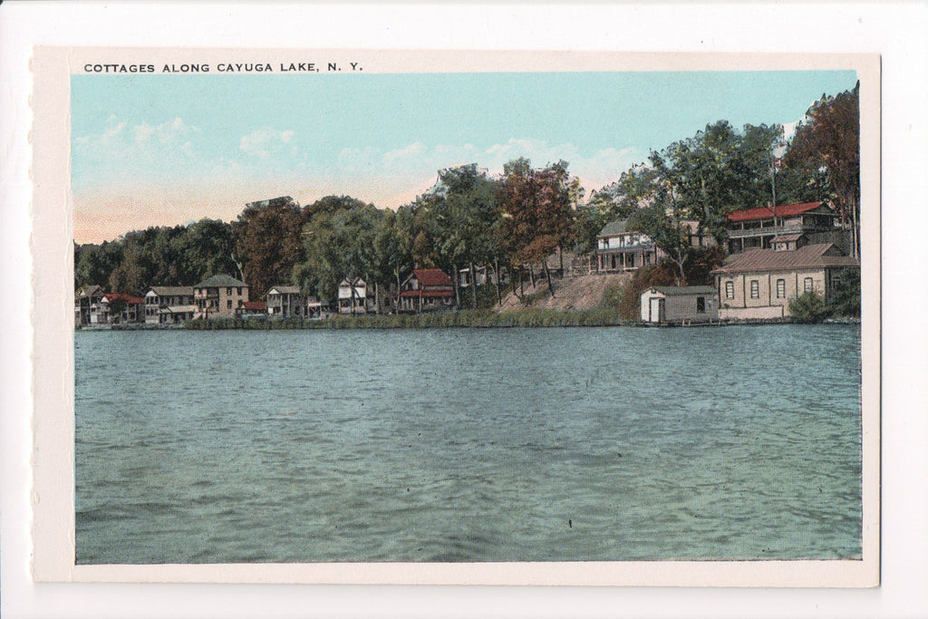 NY,  CATSKILL MOUNTAIN - Cottages postcard - D17200