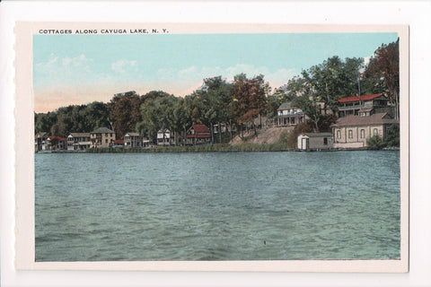 NY, Cayuga Lake - Cottages postcard - D17200