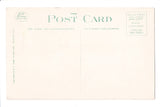NY, Bemus Point - Chautauqua Lake FERRY postcard - D17384