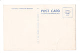 NY, CHESTERTOWN - Panther Mountain House postcard - D17354