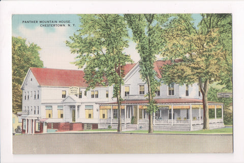 NY, CHESTERTOWN - Panther Mountain House postcard - D17354