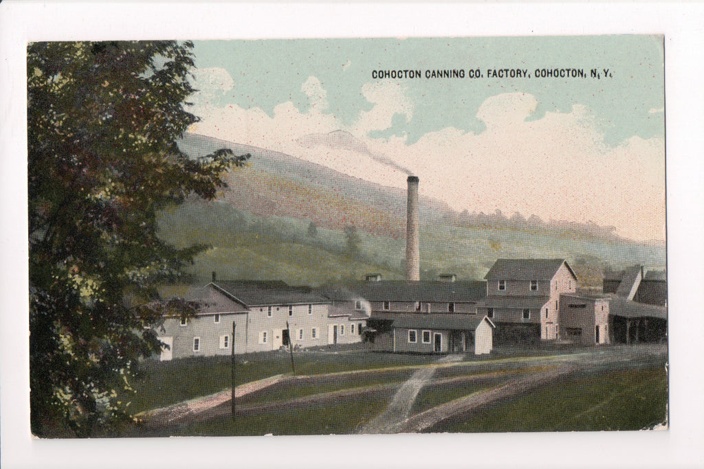 NY, COHOCTON - Cohocton Canning Co Factory postcard - D17181