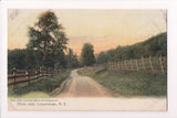 NY, COOPERSTOWN  - Shore Road, Rotograph postcard - D17193