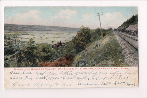 NY, Dansville - Genesee Valley - on the Lakawanna Railroad @1906 - E05069
