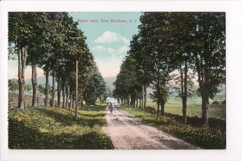 NY, East Windham - Maple Lane, with horse and buggy - D17161