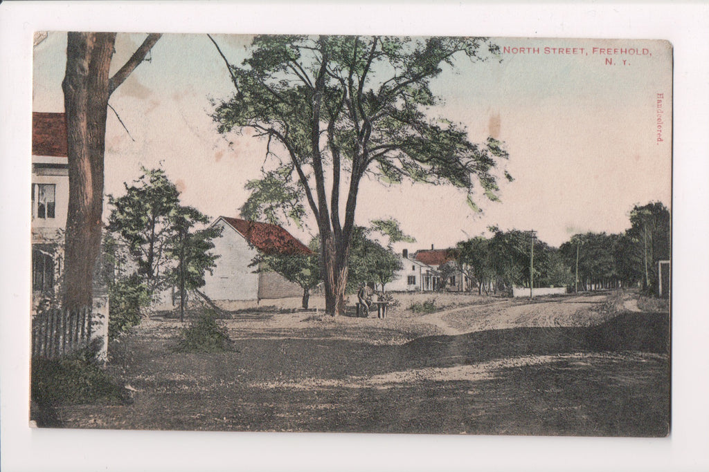 NY, FREEHOLD - North Street, @1911 vintage C R Lacy postcard - D08118