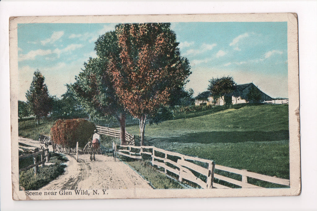 NY, Glen Wild - Country scene, hay wagon, farm - B17104