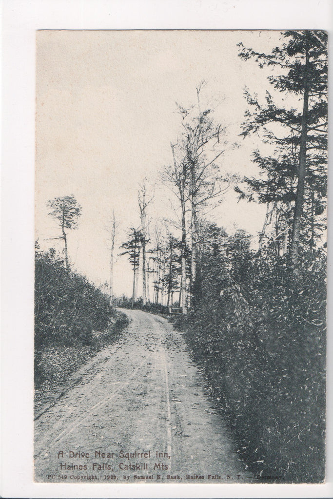 NY, Haines Falls - Squirrel Inn (near) - Catskill Mts - postcard - B08255