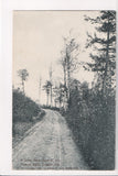 NY, Haines Falls - Squirrel Inn (near) - Catskill Mts - postcard - B08255