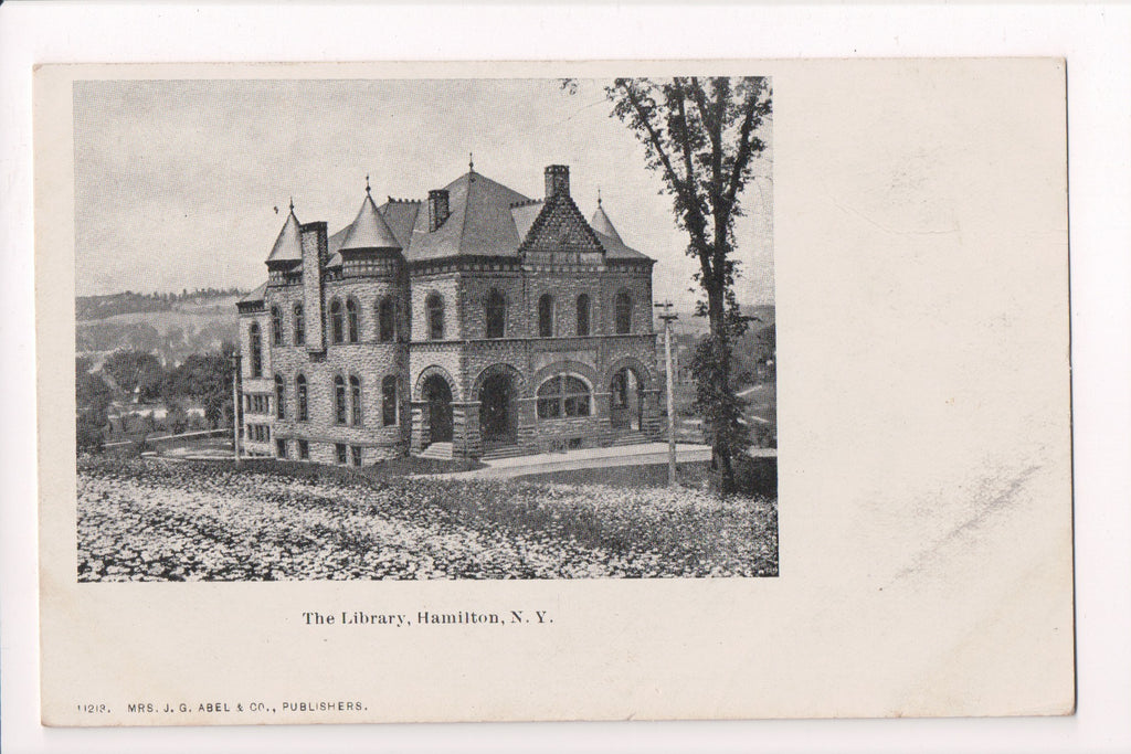 NY, HAMILTON - Library - Mrs J G Abel and Co publ postcard - D17131