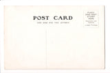 NY, Homer - On the Tioughnioga, vintage postcard - D17165