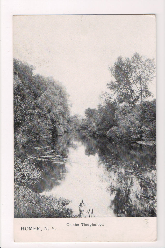 NY, HOMER - On the Tioughnioga, vintage postcard - D17165