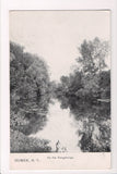 NY, HOMER - On the Tioughnioga, vintage postcard - D17165