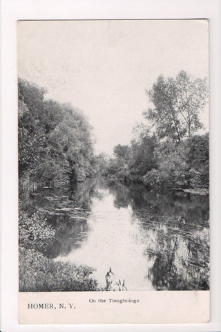 NY, HOMER - On the Tioughnioga, vintage postcard - D17165