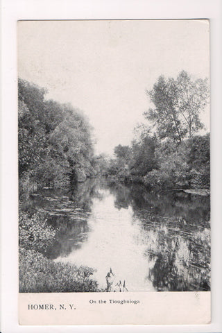 NY, Homer - On the Tioughnioga, vintage postcard - D17165