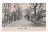 NY, NASSAU - Mill Street, men, dog, bicycle postcard - D17036