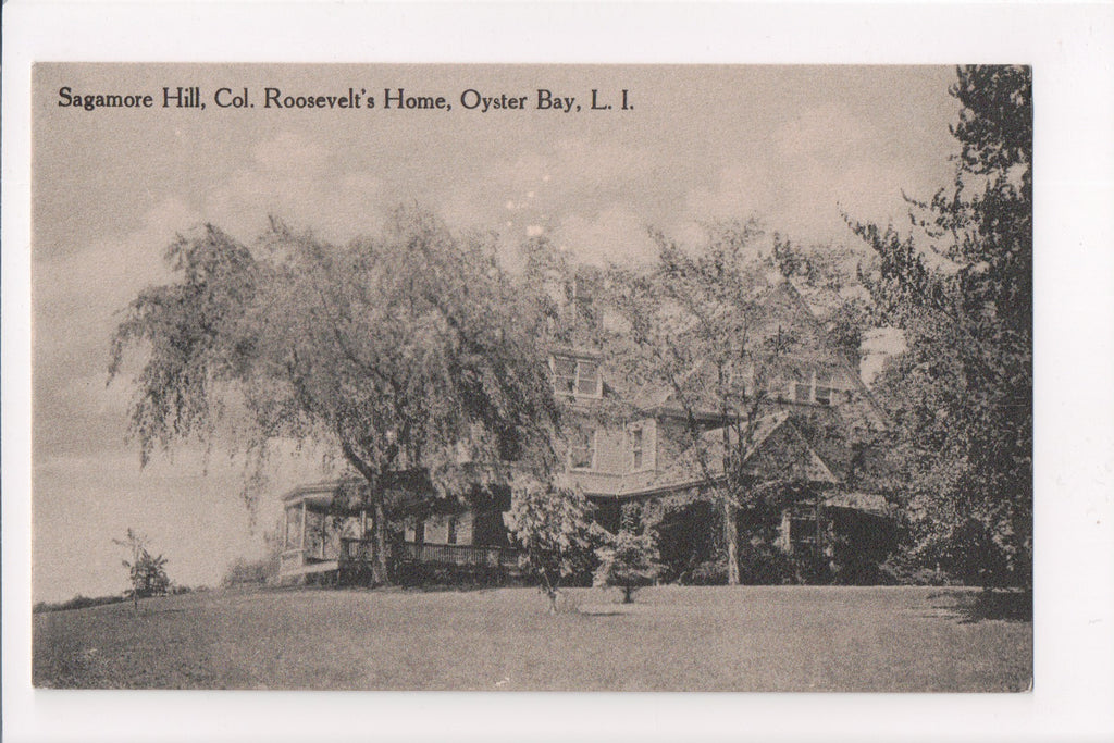 NY, Oyster Bay - Sagamore Hill, Col Roosevelts Home - A06160