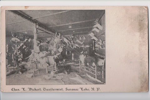NY, Saranac Lake - Taxidermist Chas Dickert interior (ONLY Digital Copy Avail) - J06056