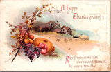Thanksgiving - country scene, grapes, pumpkin, apples - Clapsaddle - S01005