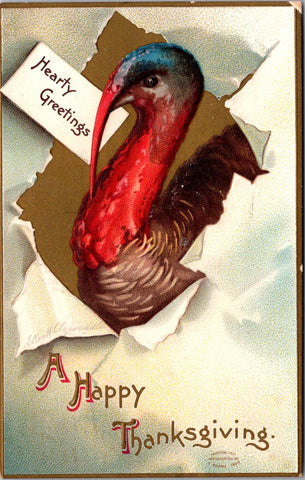 Thanksgiving - Turkey head popping thru paper - Clapsaddle - S01311