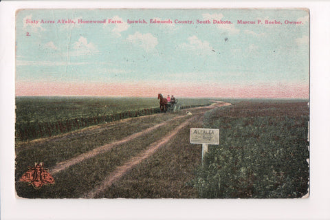 SD, Ipswich - Homewood Farm Alfalfa field, Marcus P Beebe owner - MB0857