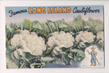 NY, LONG ISLAND - Large Cauliflower heads postcard - SL2755
